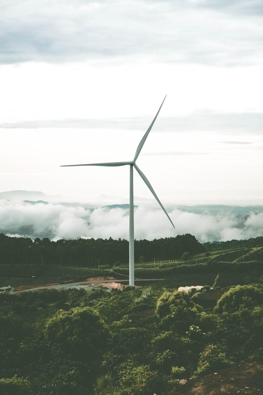 Energy sector — Orbis Energy Capital